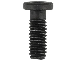 Bosch E-Bike Parts|Screw (System Controller) (The Smart System Compatible)