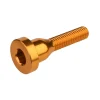 Burgtec Stems & Parts|Headsets & Spacers|Top Cap Bolt (Bullion Gold)