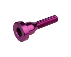 Burgtec Stems & Parts|Headsets & Spacers|Top Cap Bolt (Purple Rain)