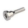 Burgtec Stems & Parts|Headsets & Spacers|Top Cap Bolt (Rhodium Silver)