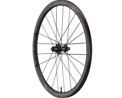 Cadex Wheels & Parts|36 Road Wheels (Black) (Shimano HG 11/12) (Rear) (12 x 142mm) (Centerlock) (Tubeless)