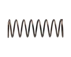 Campagnolo Wheels & Parts|Cassette Body Pawl Spring (1)