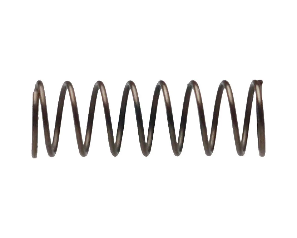 Campagnolo Wheels & Parts|Cassette Body Pawl Spring (1)