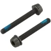 Campagnolo Brakes|Disc Caliper Mounting Screws (2 x 39mm) (For 30-34mm Rear Mount Thickness)