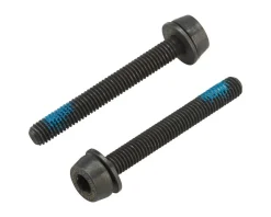 Campagnolo Brakes|Disc Caliper Mounting Screws (2 x 39mm) (For 30-34mm Rear Mount Thickness)