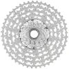 Campagnolo Cassettes|EKAR GT Cassette (Silver) (13 Speed) (9-42T) (Fits N3W Freehub Bodies)