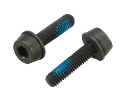 Campagnolo Brakes|H11 Disc Brake Caliper Mounting Bolts (Black) (Flat Mount) (19mm)