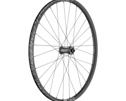DT Swiss Wheels & Parts|H 1900 Spline 30 Front Wheel (Black) (6-Bolt) (15 x 110mm) (29")