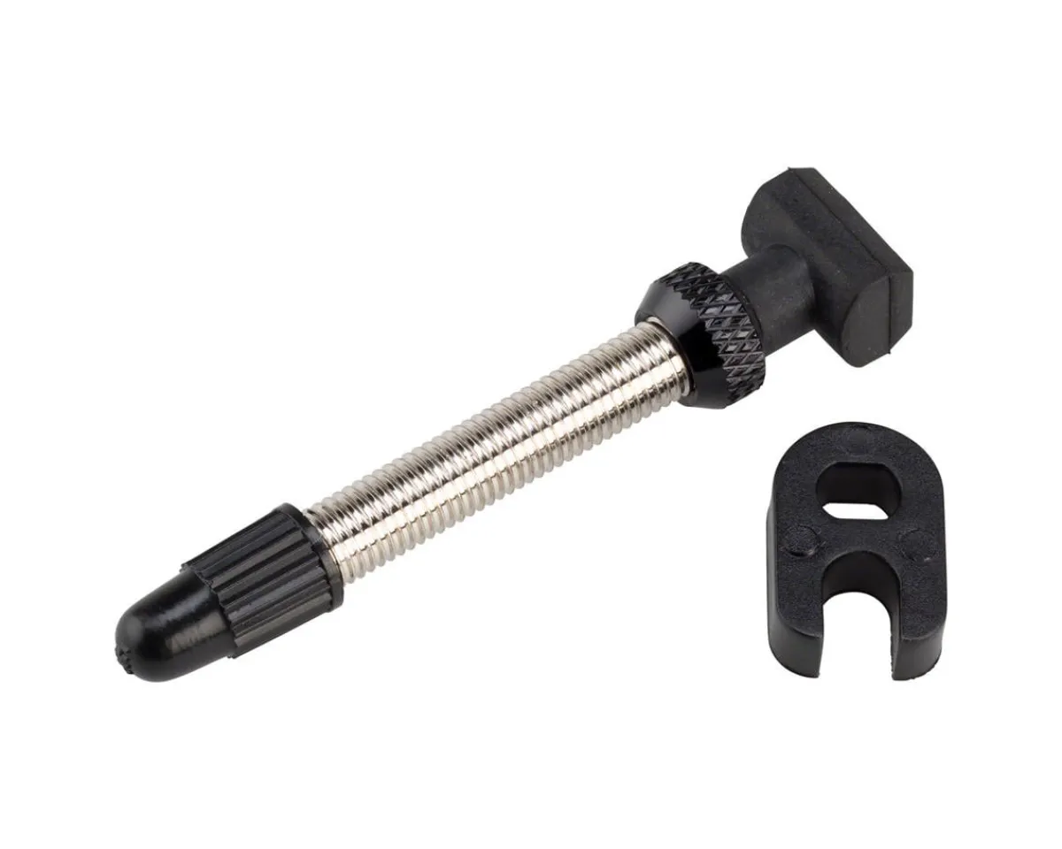 DT Swiss Tubeless Tire Tools|Tubeless Accessories|40mm Tubeless Valve (Silver) (1) (MTB or Road) (Narrow Base)