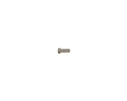 DT Swiss Wheels & Parts|ProLock/ProHead Brass Nipples (Silver) (2.0 x 12mm) (Box of 100)