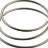 DT Swiss Wheels & Parts|Star Ratchet Spring (For All Star Ratchet Hubs)