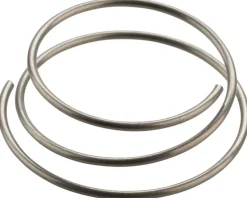 DT Swiss Wheels & Parts|Star Ratchet Spring (For All Star Ratchet Hubs)