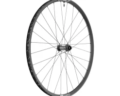 DT Swiss Wheels & Parts|X 1900 Spline 25 Front Wheel (Black) (Centerlock) (15 x 100mm) (29")