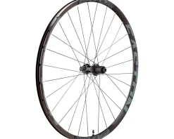 Easton Wheels & Parts|EA70 AX Disc Rear Wheel (Black) (Shimano HG) (QR/12 x 135/142mm) (700c) (Centerlock) (Tubeless)