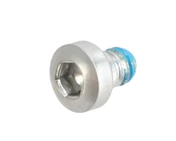 Formula Italy Brakes|Lever Pivot Screw (R1) (Steel) (2012+) (1 Pack)