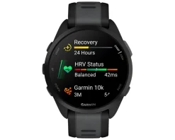 Garmin Watches|Holiday Shopping|Forerunner 165 GPS Smartwatch (Black/Slate Gray) (AMOLED Display)