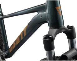 Giant Mountain Bikes|Giant Bikes|Talon 29 2 Mountain Bike (Asphalt Green) (S)