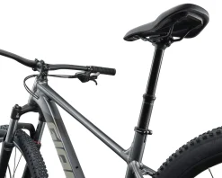 Giant Mountain Bikes|Giant Bikes|Talon 29 1 Mountain Bike (Charcoal) (L)
