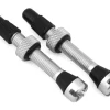 Industry Nine Tubeless Accessories|Tubeless Presta Valve Stems (Silver) (40mm)