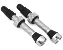 Industry Nine Tubeless Accessories|Tubeless Presta Valve Stems (Silver) (40mm)
