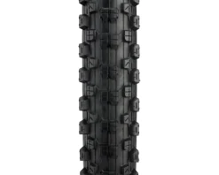Kenda Tires|Nevegal Sport Mountain Tire (Black) (26