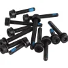 Magura Brakes|Flat Mount Screw Set (Rear) (Pack of 12) (T25)