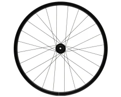 Mavic Wheels & Parts|Aksium 1 Disc Road Wheel (Black) (Shimano HG 11/12) (Front & Rear) (12x100mm, 12x142mm) (700c) (Centerlock) (Tube