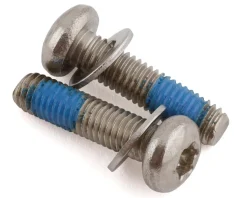 Paul Components Brakes|Stainless Mounting Bolts (T-25) (Pair) (For Flat Mount Calipers) (20mm)