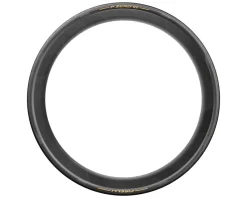 Pirelli Tires|P Zero Race TLR Tubeless Road Tire (Black/Gold) (700c) (28mm) (SmartEVO/SpeedCore)