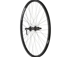 Quality Wheels Wheels & Parts|Shimano/DH19 Mountain Rear Wheel (Black) (Shimano HG) (QR x 135mm) (26")