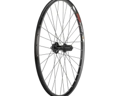 Quality Wheels Wheels & Parts|Value Double Wall Series Disc Rear Wheel (Black) (Shimano HG) (QR x 135mm) (26