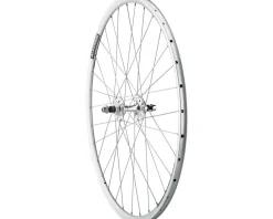 Quality Wheels Wheels & Parts|Value Double Wall Series Track Rear Wheel (Silver) (Freewheel) (10 x 120mm) (700c) (Sealed) (Flip-Flop Hub)