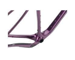 Salsa Frames|Gravel Bikes|Cutthroat C Carbon Frameset (Deep Orchid) (56cm)