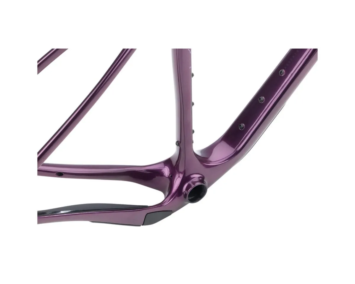 Salsa Frames|Gravel Bikes|Cutthroat C Carbon Frameset (Deep Orchid) (56cm)