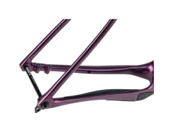 Salsa Frames|Gravel Bikes|Cutthroat C Carbon Frameset (Deep Orchid) (56cm)