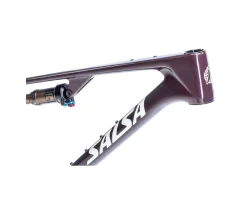 Salsa Frames|Mountain Bikes|Spearfish C DLX Bike Frame (Deep Orchid Carbon) (XS)