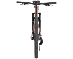 Salsa Mountain Bikes|Spearfish C Eagle 90 Transmission Mountain Bike (Dusty Rose) (XS)
