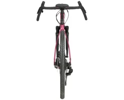 Salsa Gravel Bikes|Stormchaser Apex Eagle SUS Gravel Bike (Berry) (56cm)