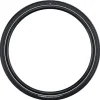 Schwalbe Tires|Motion Big Apple Tire (Black/Reflex) (E25) (29") (2.0") (Addix Green/RaceGuard) (Wire)