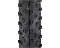 Schwalbe Tires|Racing Ray HS489 Tubeless Mountain Tire (Black) (29") (2.25") (Addix/TwinSkin) (Performance Line)