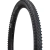 Schwalbe Tires|Racing Ray Mountain Bike Tire (Black) (29") (2.25") (Addix SpeedGrip/Super Ground) (EVO Line)