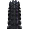Schwalbe E-Bike Parts|Tires|Shredda F PRO Radial Tubeless Mountain Tire (Black) (29") (2.5") (Ultra Soft/Gravity) (2027)