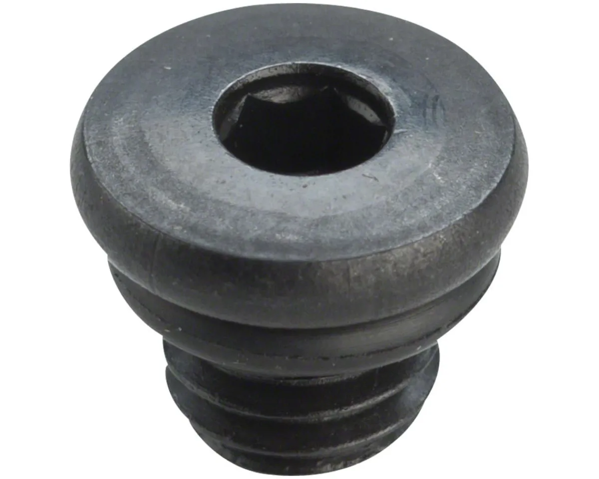 Shimano Replacement Parts|Brakes|Bleed Port Screw & O-Ring (XT/SLX)