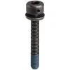 Shimano Brakes|Flat Mount Disc Brake Caliper Fixing Bolts (Black) (31.8mm)