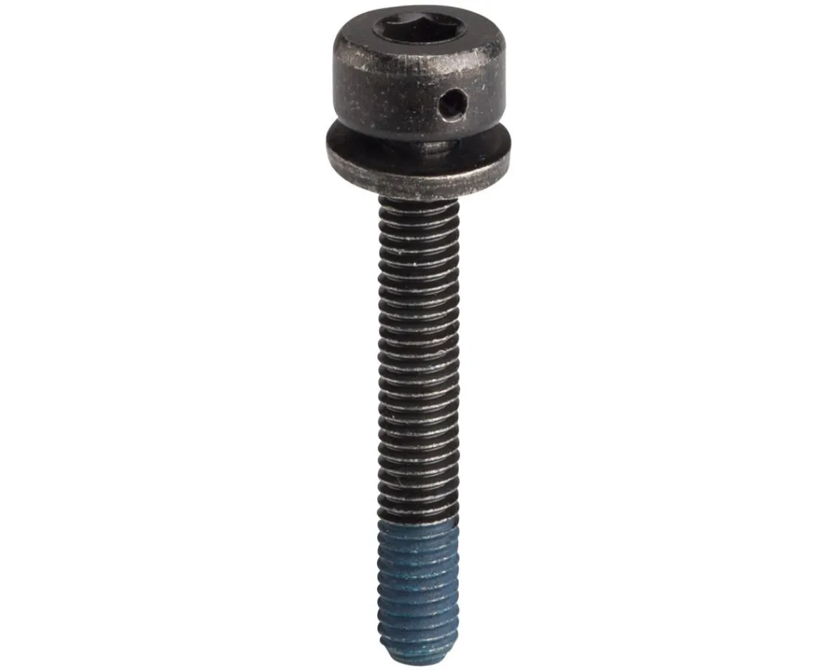 Shimano Brakes|Flat Mount Disc Brake Caliper Fixing Bolts (Black) (31.8mm)