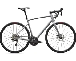 Specialized Road Bikes|Specialized Bikes|Allez Comp Road Bike (Dolomite Metallic/Dove Grey) (44cm) (Shimano 105)