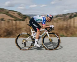 Specialized Tires|Cotton TLR Racing Tire (Tan Wall) (700c) (30mm) (Gripton T2/T5)