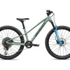 Specialized Kids Bikes|Specialized Bikes|Riprock Comp 24" Kids Mountain Bike (Agave Grey/Oak Green Metallic) (24")