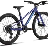 Specialized Kids Bikes|Specialized Bikes|Riprock 24" Kids Mountain Bike (Majesty Blue Metallic/Sky Blue) (24")