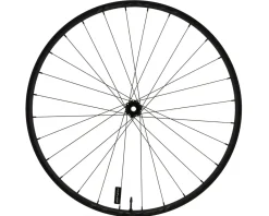 Specialized Wheels & Parts|Roval Control Alloy 350 29" MTB Wheels (Black/Charcoal) (Front) (15 x 110mm (Boost)) (29") (6-Bolt) (Tubeless)